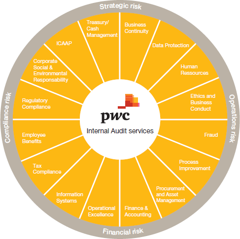 Internal Audit Solutions
