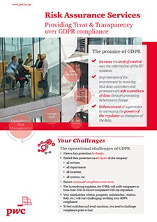 Risk Assurance Services