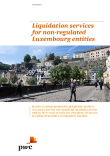 Liquidation services for non-regulated Luxembourg entities