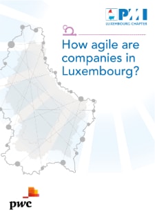 How agile are companies in Luxembourg?